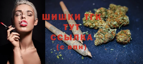 дживик Сатка